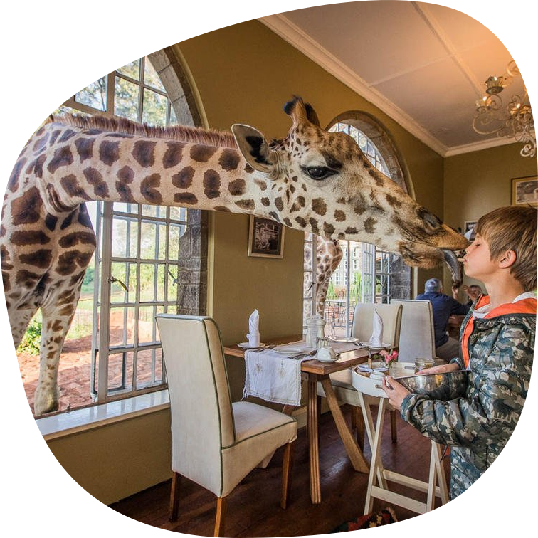 Breakfast on Safari