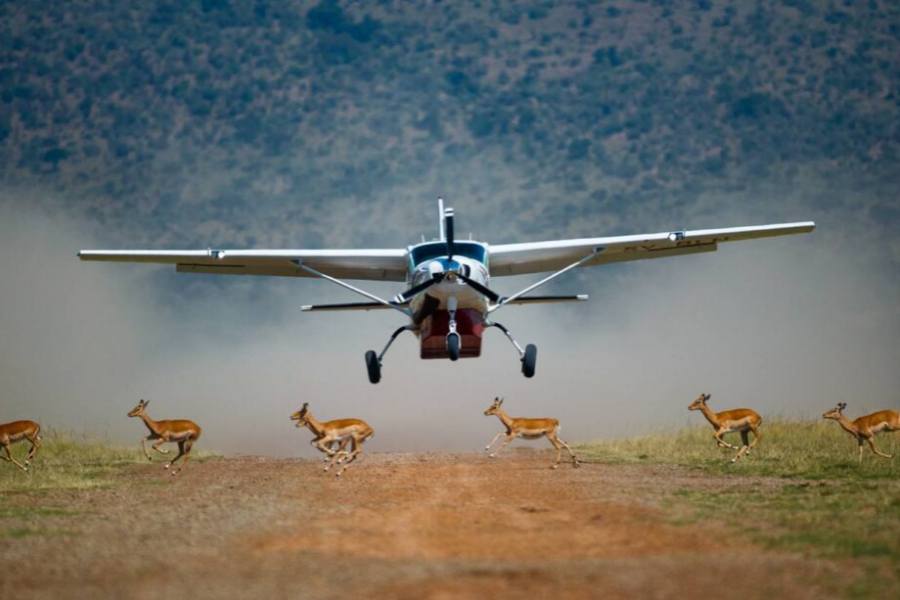 Maasai Mara Fly In Safari